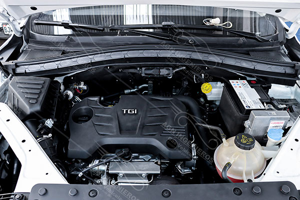 conversion directa mg hs 20t